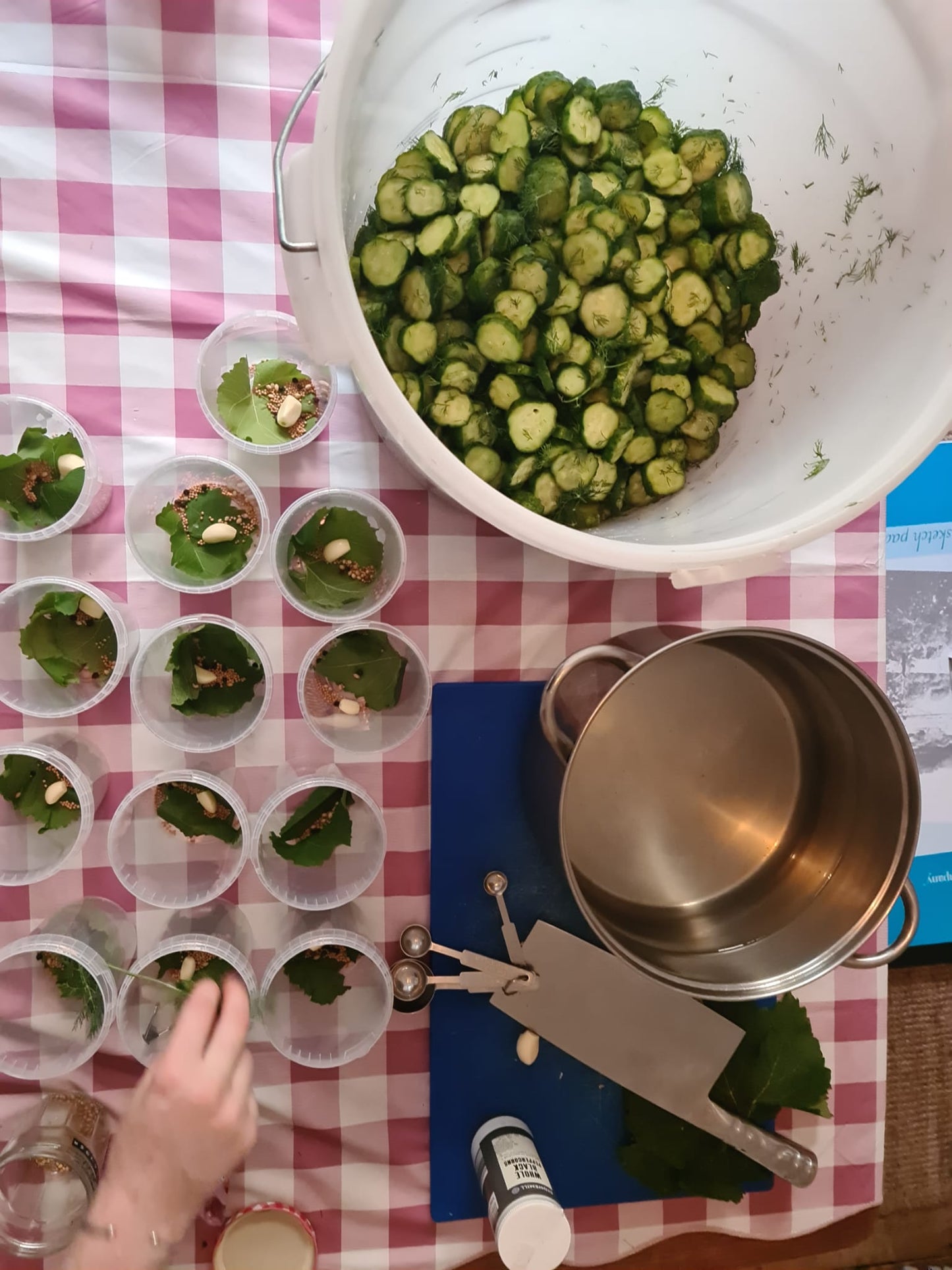 Crinkle Cut Dill and Vine Leaf Pickles